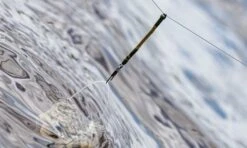 Guru Feederlinks -Visuitrusting guru feederlinks 2