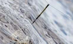 Guru Feederlinks -Visuitrusting guru feederlinks 6