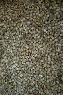 Hennep 10kg -Visuitrusting hengelsportlauwe hennep 10kg 2