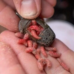 ICM Maggot Feeders 13 ICM Maggot Feeders -Visuitrusting preston innovations icm maggot feeders 5