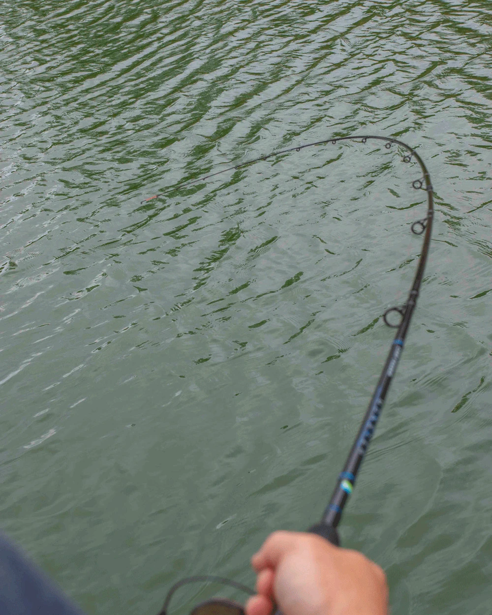 Monster 7 Monster - Afbeelding 5